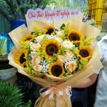 Ý nghĩa các loài hoa thường dùng trong trang trí và tặng quà