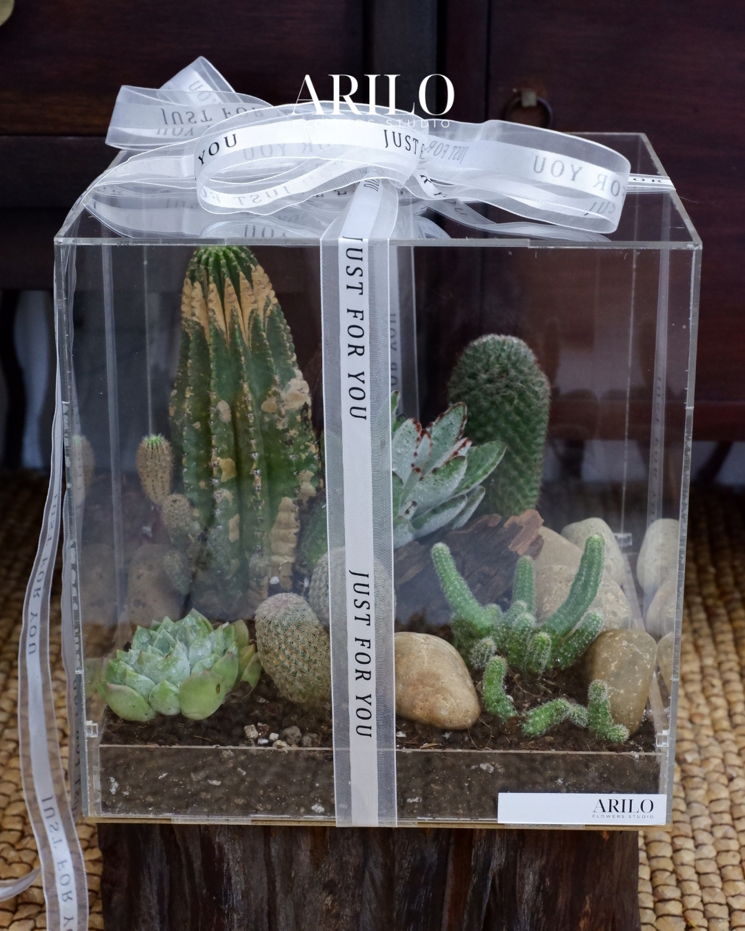 Hộp hoa xương rồng – món quà nhỏ mang ý nghĩa lớn