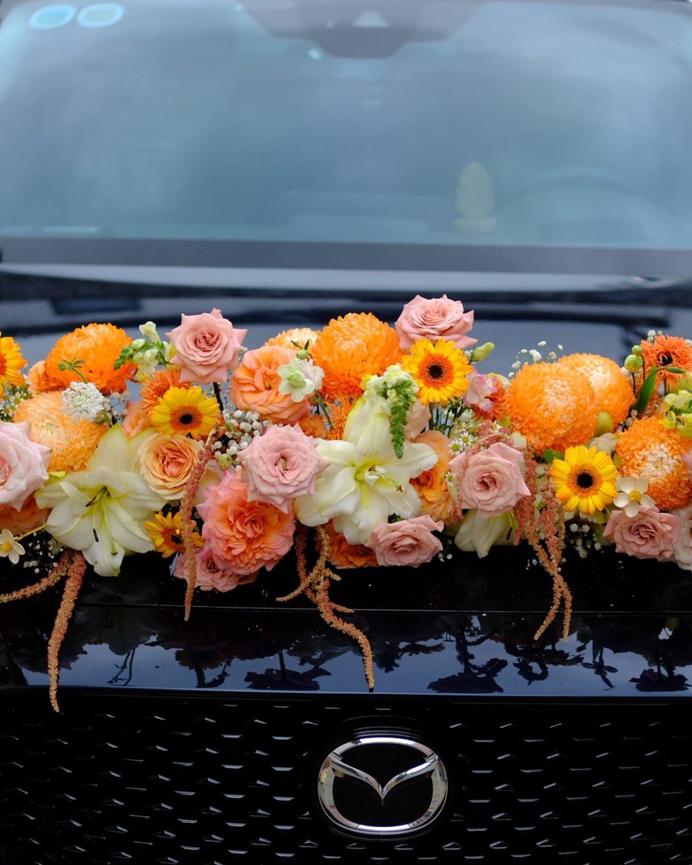 XE CƯỚI ARILO - C36