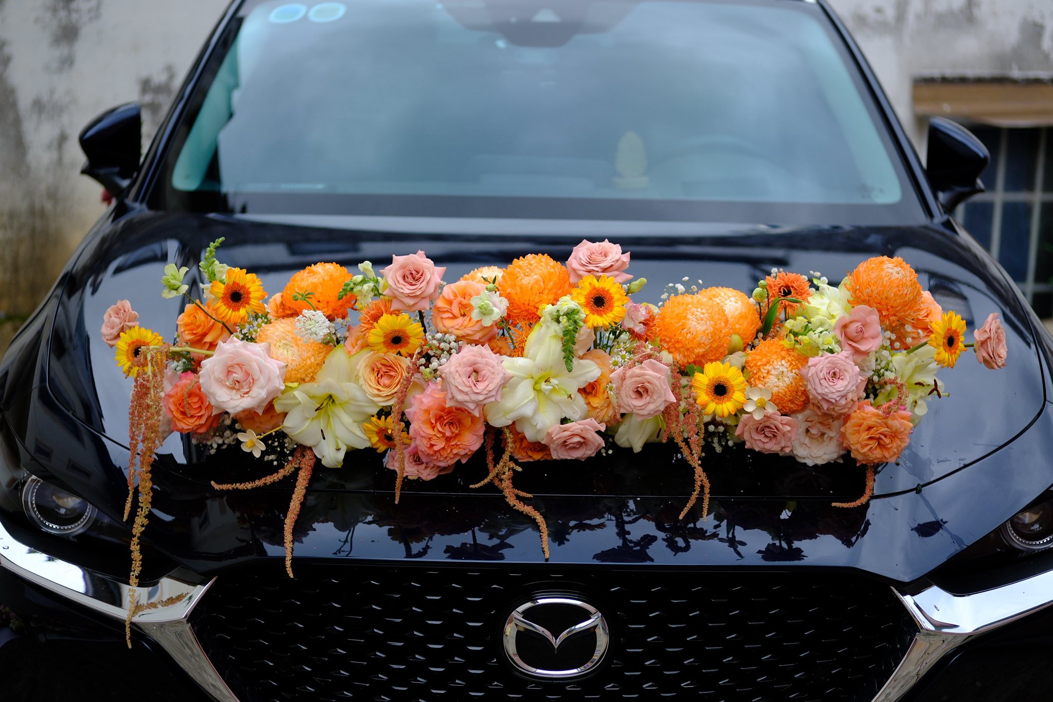 XE CƯỚI ARILO - C36