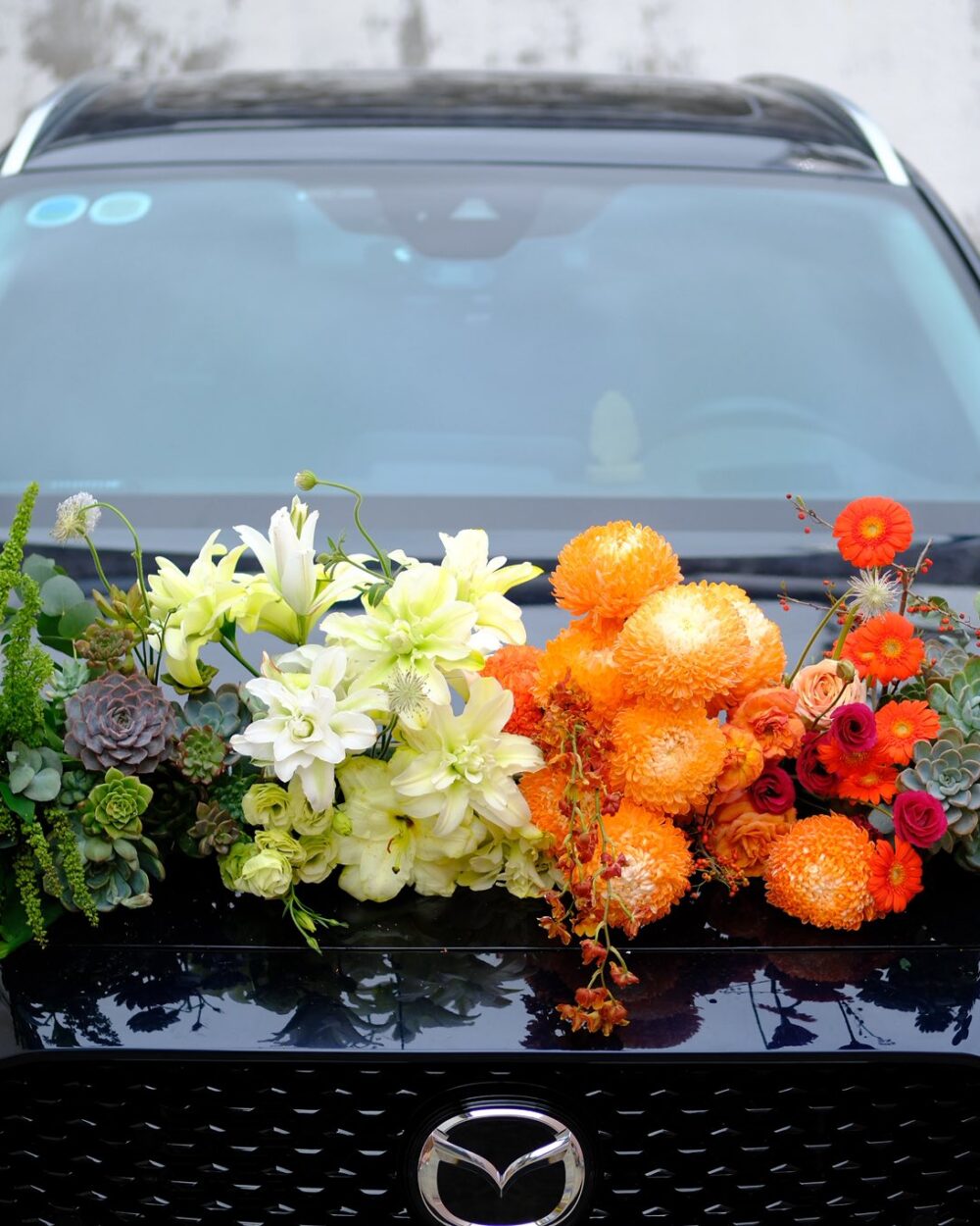 XE CƯỚI ARILO - C37