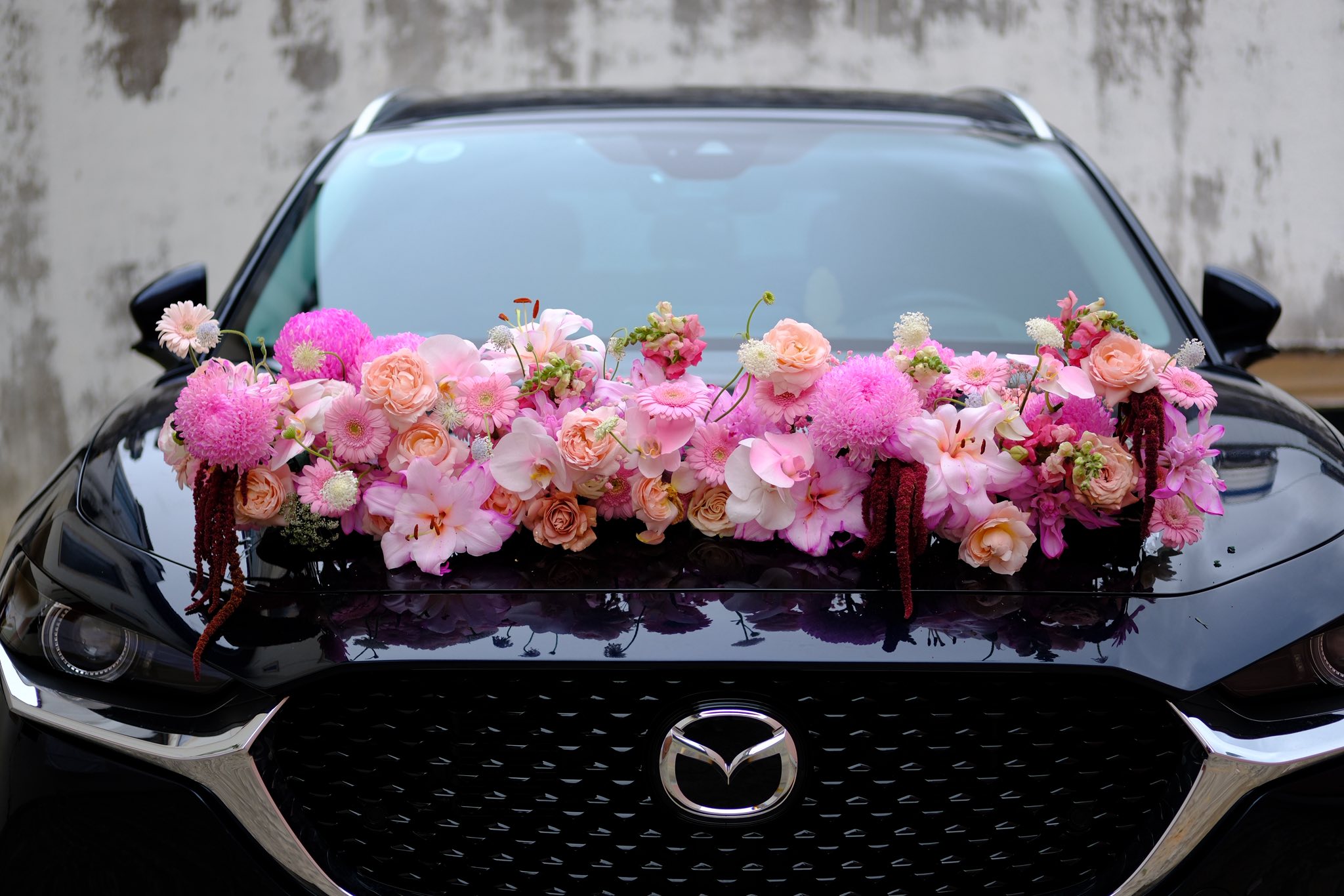 XE CƯỚI ARILO - C39