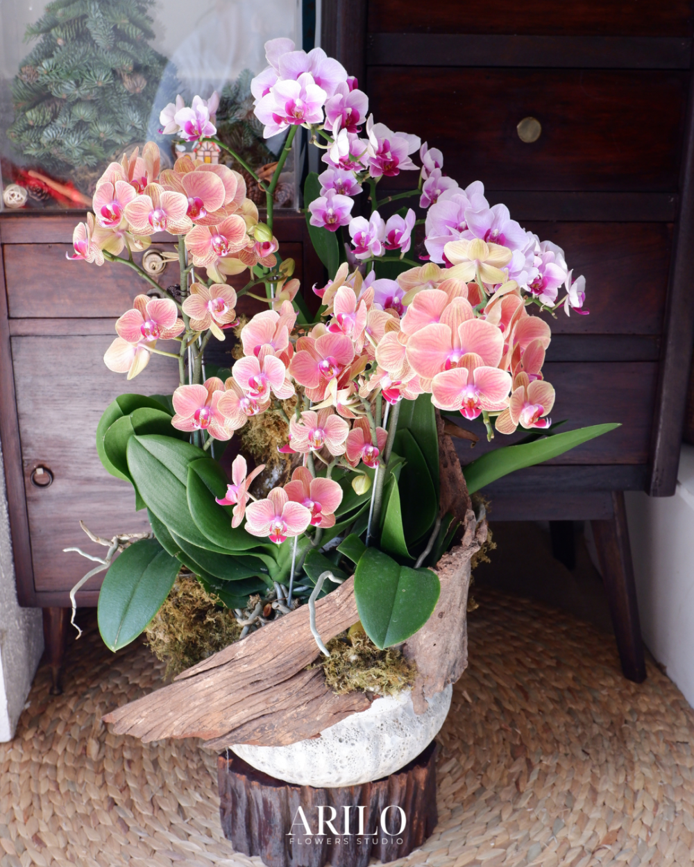 Shop hoa tươi Sài Gòn / HOA LAN HỒ ĐIỆP TẶNG KHAI TRƯƠNG / HOA LAN HỒ ĐIỆP TẶNG ĐỐI TÁC/ HOA LAN TẶNG ĐỒNG NGHIỆP