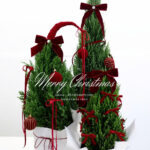 CHỌN MUA CÂY TÙNG ĐỂ BÀN Ở ĐÂU UY TÍN TẠI HỒ CHÍ MINH?