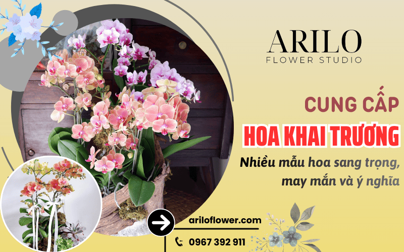 hoa khai trương tại Bàn Cờ