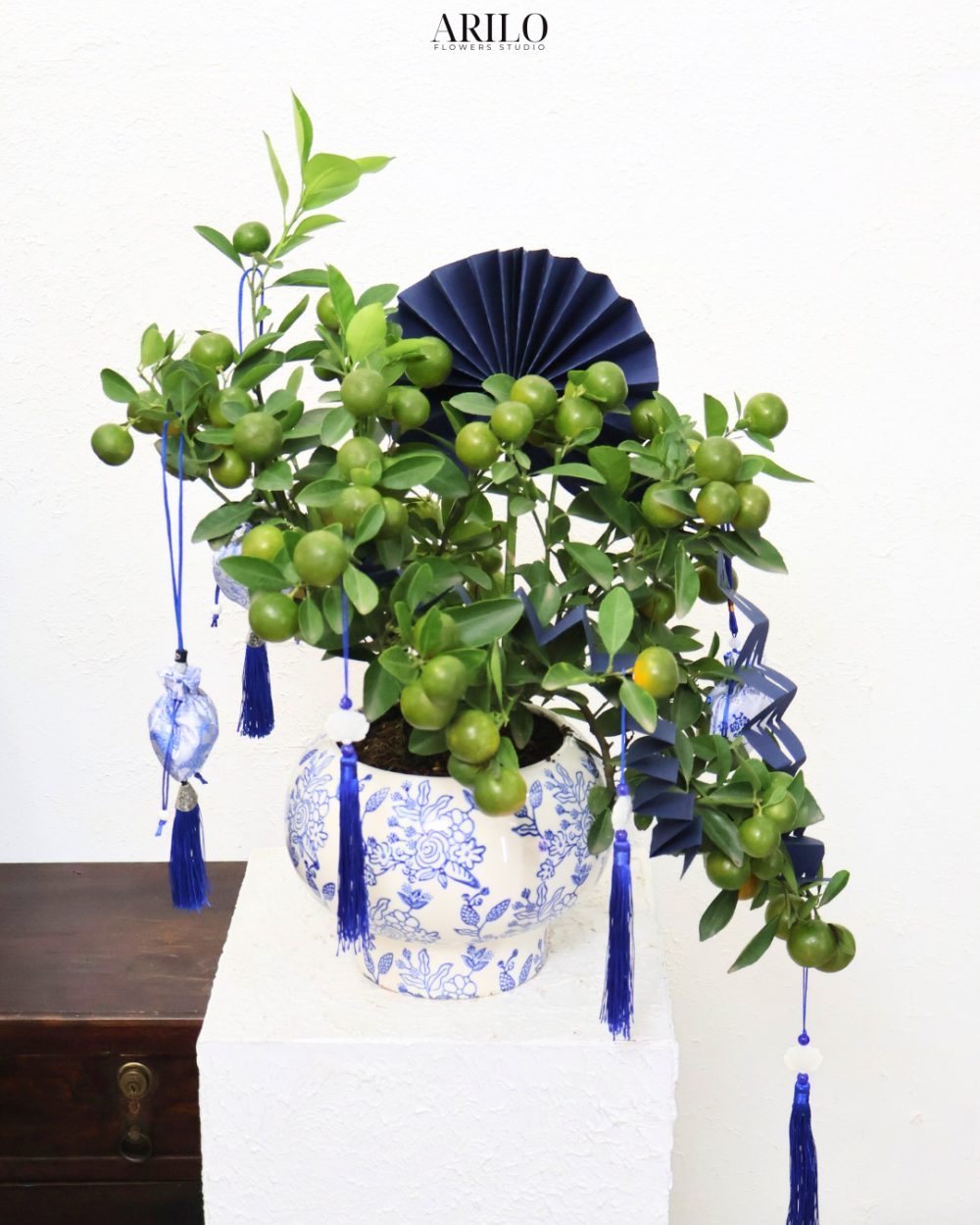 CÂY HẠNH BONSAI DÁNG ĐUÔI CÔNG VẺ ĐẸP THANH CAO CHO TẾT PHÚ QUÝ G37