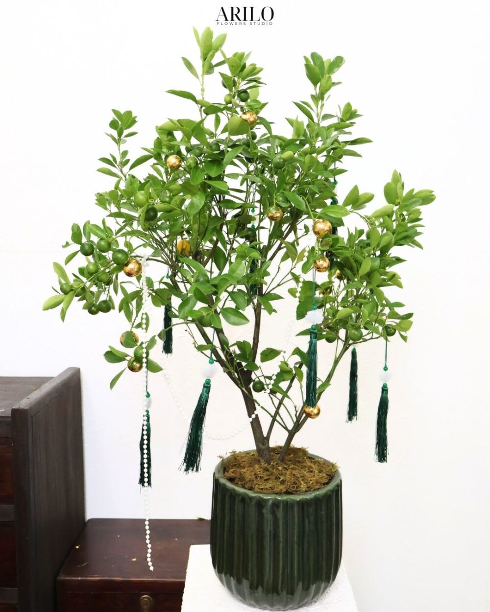 CÂY HẠNH DECOR NGÀY TẾT MAY MẮN ĐEM LỘC XANH VÀO NHÀ G35