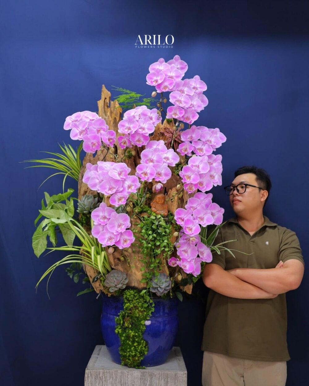 CHẬU LAN HỒ ĐIỆP HỒNG QUY MÔ LỚN – THẾ GỖ LŨA ĐẲNG CẤP TRANG TRÍ ĐẠI SẢNH SHOWROOM L20