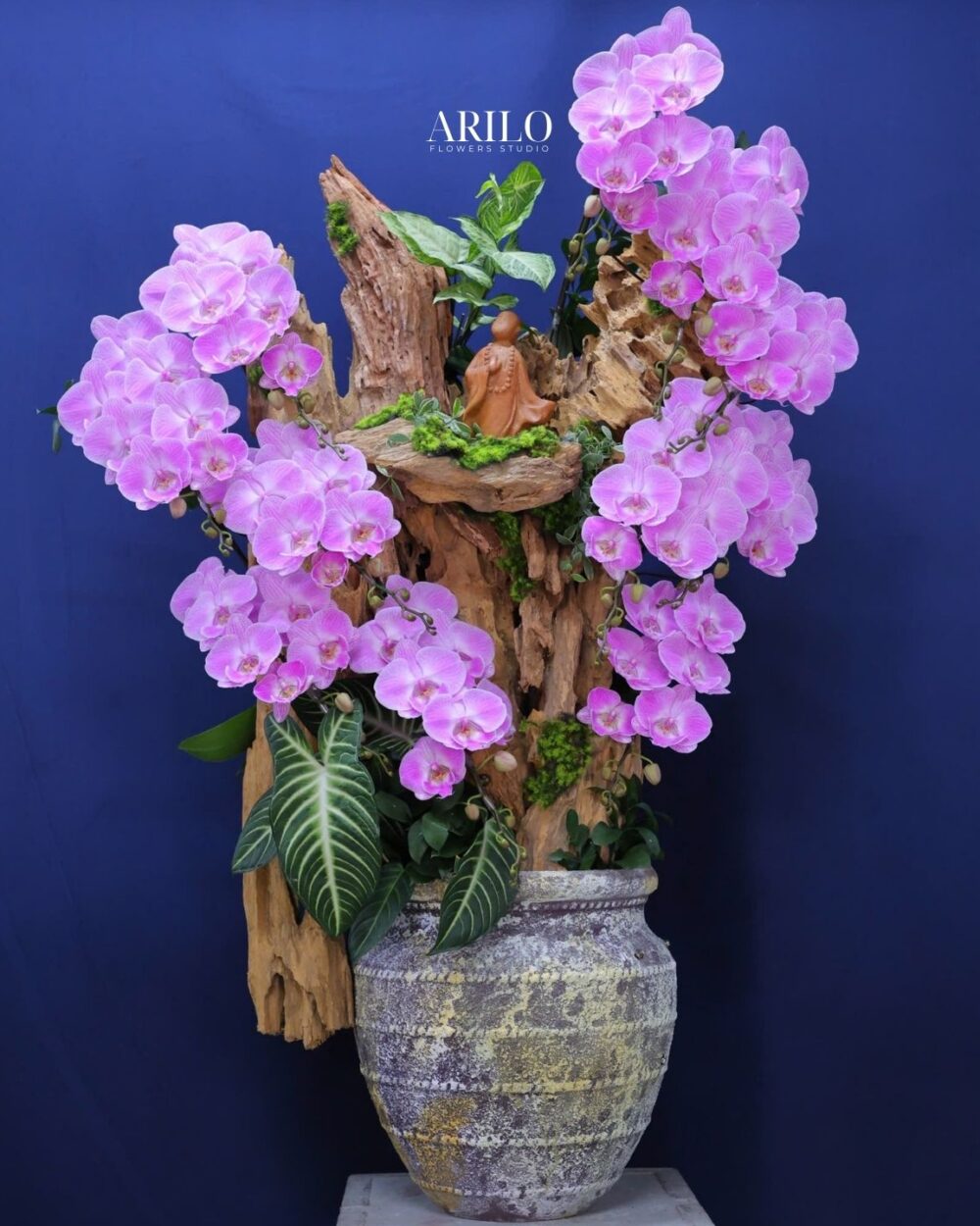 CHẬU LAN HỒ ĐIỆP HỒNG TÍM – THẾ GỖ LŨA PHONG THỦY SANG TRỌNG-02