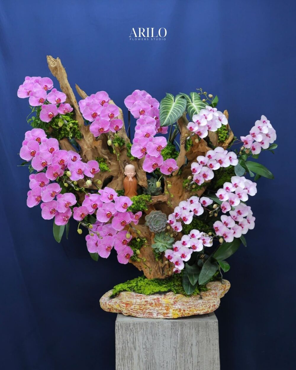 CHẬU LAN HỒ ĐIỆP HỒNG TRẮNG – THẾ GỖ LŨA NGHỆ THUẬT PHONG THỦY L14