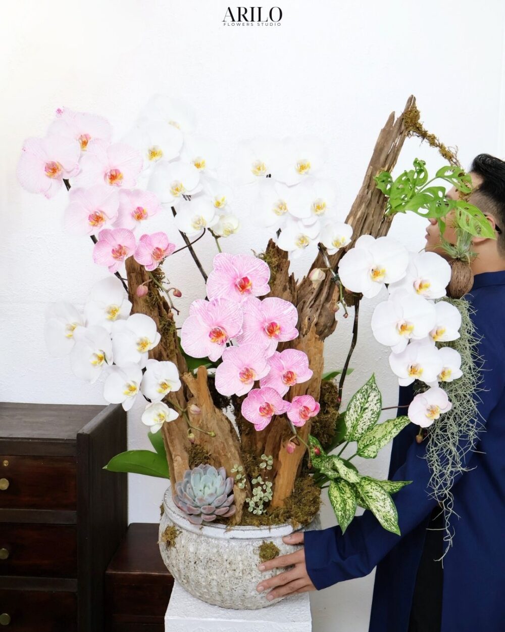 CHẬU LAN HỒ ĐIỆP THIẾT KẾ ĐỘC BẢN ĐIỂM NHẤN VƯỢNG KHÍ CHO NGÀY TẾT L24