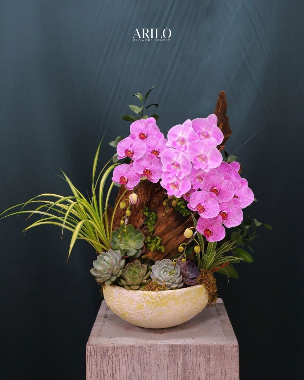 CHẬU LAN THIẾT KẾ GIAO NHANH KHU VỰC HỒ CHÍ MINH THIẾT KẾ GỖ LŨA TINH TẾ L13