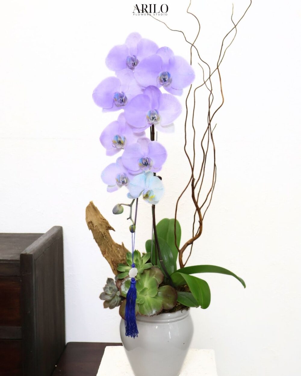 LAN HỒ ĐIỆP TÍM PASTEL NÉT AN YÊN TRONG THIẾT KẾ LAN NGHỆ THUẬT QUÂNH 3 L27