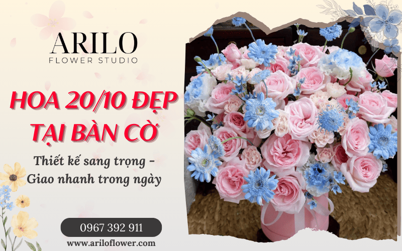hoa 20/10 đẹp tại Bàn Cờ