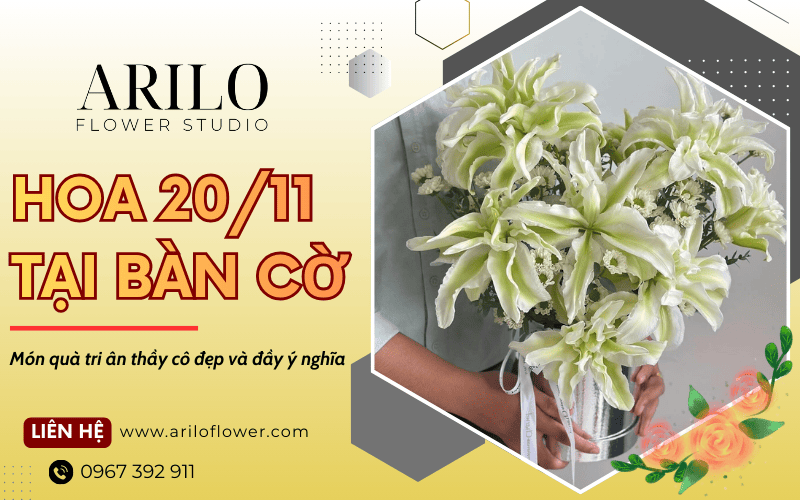 hoa 20/11 tại Bàn Cờ