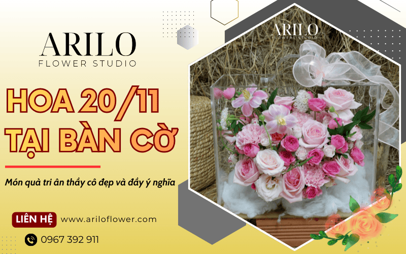 hoa 20/11 tại Bàn Cờ