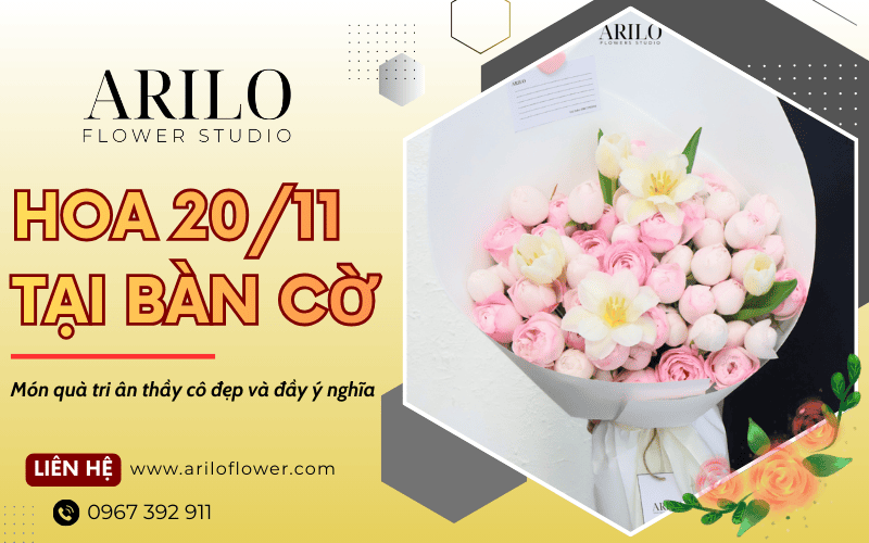 hoa 20/11 tại Bàn Cờ