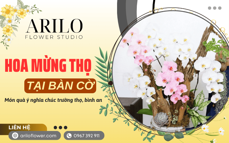 hoa mừng thọ tại Bàn Cờ