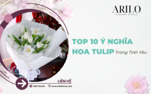 10 Ý Nghĩa Hoa Tulip Trong Tình Yêu Vì Sao Tulip Là Loài Hoa Được Yêu Thích Nhất Khi Tặng Người Yêu
