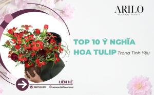 10 Ý Nghĩa Hoa Tulip Trong Tình Yêu Vì Sao Tulip Là Loài Hoa Được Yêu Thích Nhất Khi Tặng Người Yêu