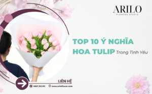 10 Ý Nghĩa Hoa Tulip Trong Tình Yêu Vì Sao Tulip Là Loài Hoa Được Yêu Thích Nhất Khi Tặng Người Yêu