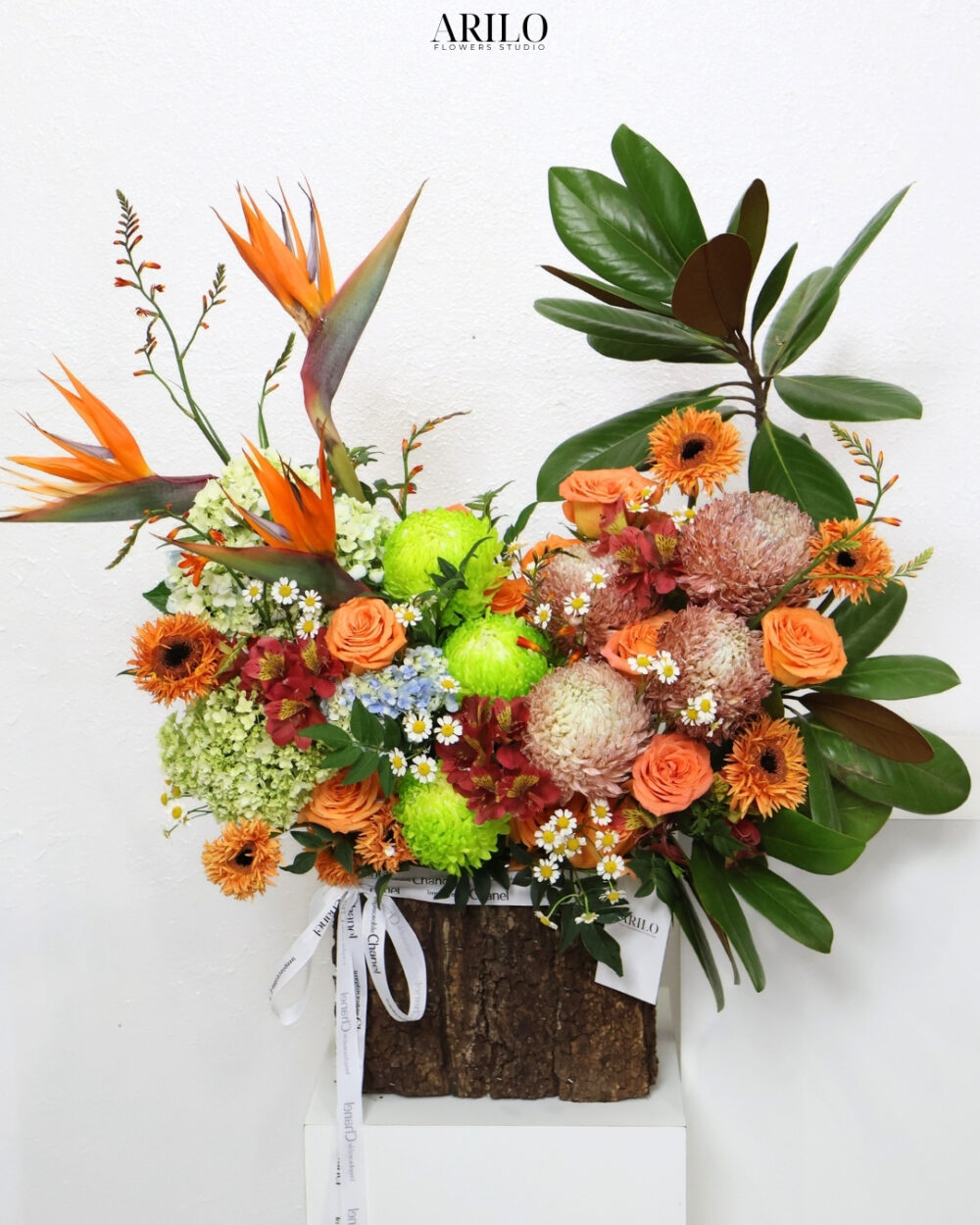 LẴNG HOA CHÚC MỪNG PHONG CÁCH NHIỆT ĐỚI RỰC RỠ ĐẲNG CẤP VÀ KHÁC BIỆT G56