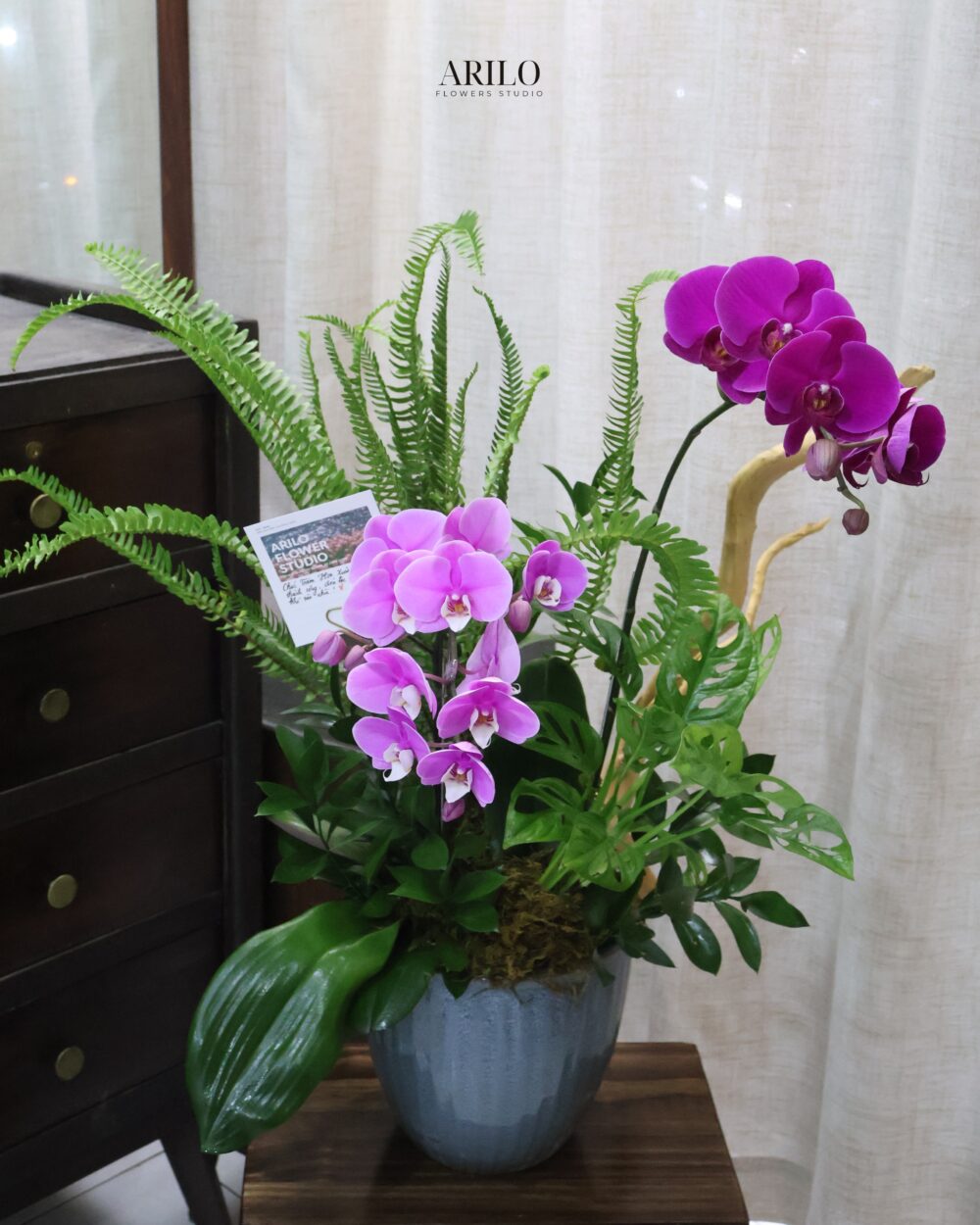 CHẬU HOA LAN HỒ ĐIỆP TÍM THIẾT KẾ SANG TRỌNG MÓN QUÀ KHAI TRƯƠNG VÀ CHÚC MỪNG ĐẲNG CẤP L29