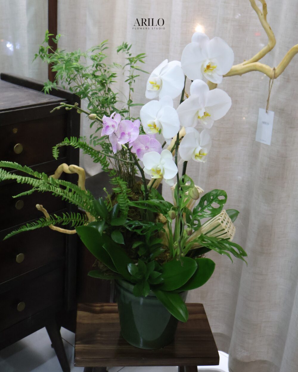 CHẬU LAN HỒ ĐIỆP TRẮNG THIẾT KẾ NGHỆ THUẬT BIỂU TƯỢNG THÀNH CÔNG VÀ KHỞI ĐẦU THỊNH VƯỢNG L30